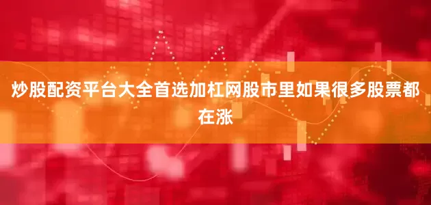 炒股配资平台大全首选加杠网股市里如果很多股票都在涨