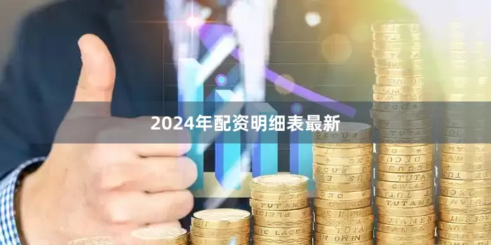 2024年配资明细表最新