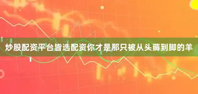 炒股配资平台皆选配资你才是那只被从头薅到脚的羊