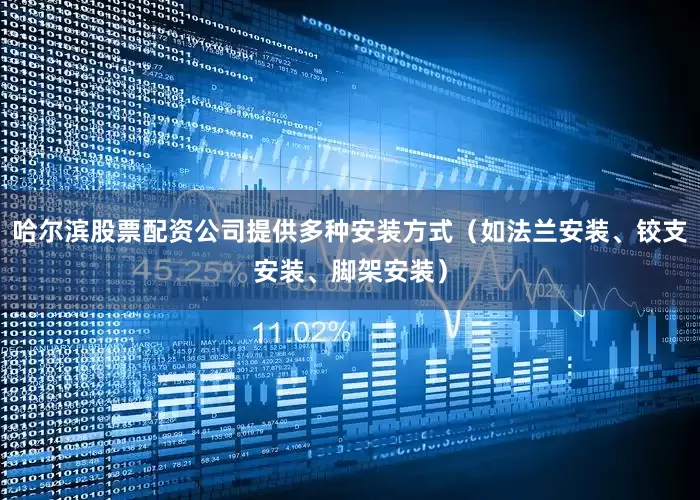 哈尔滨股票配资公司提供多种安装方式（如法兰安装、铰支安装、脚架安装）