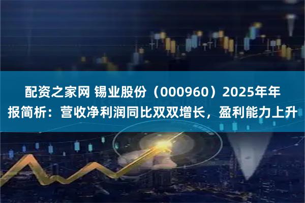 配资之家网 锡业股份（000960）2025年年报简析：营收净利润同比双双增长，盈利能力上升
