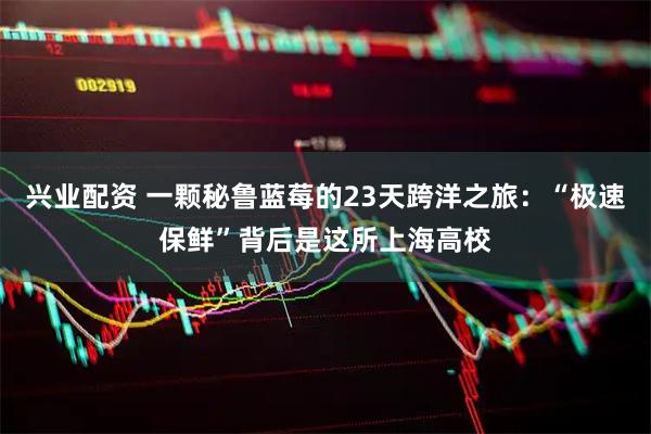 兴业配资 一颗秘鲁蓝莓的23天跨洋之旅：“极速保鲜”背后是这所上海高校